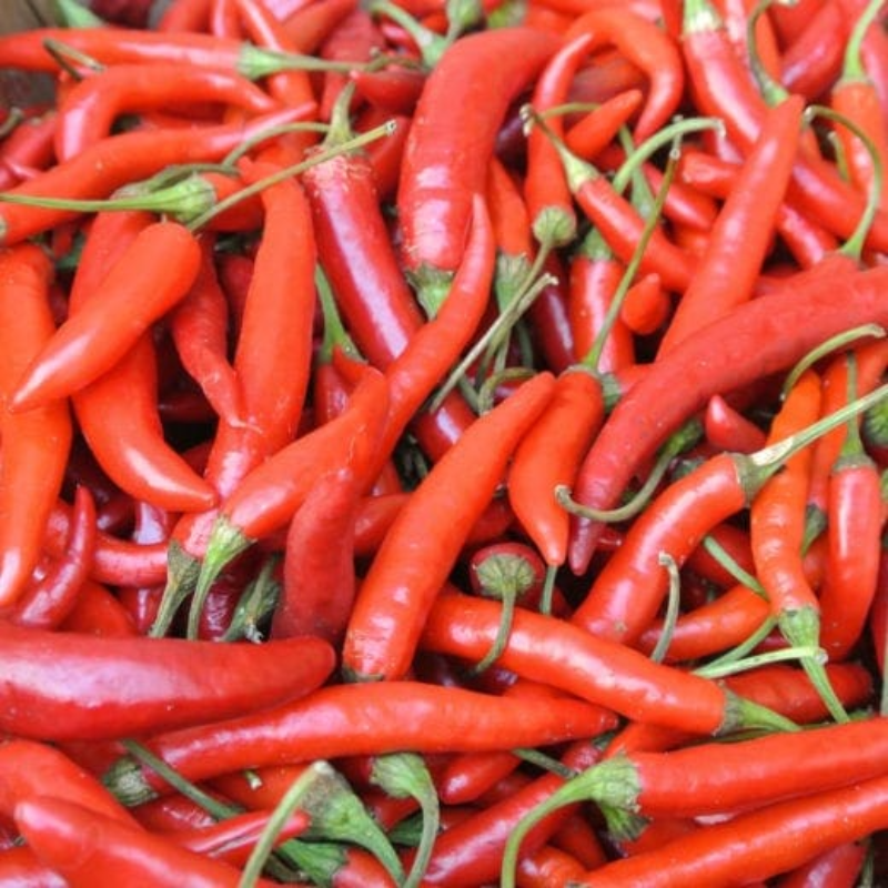 Thai Pepper Main Image